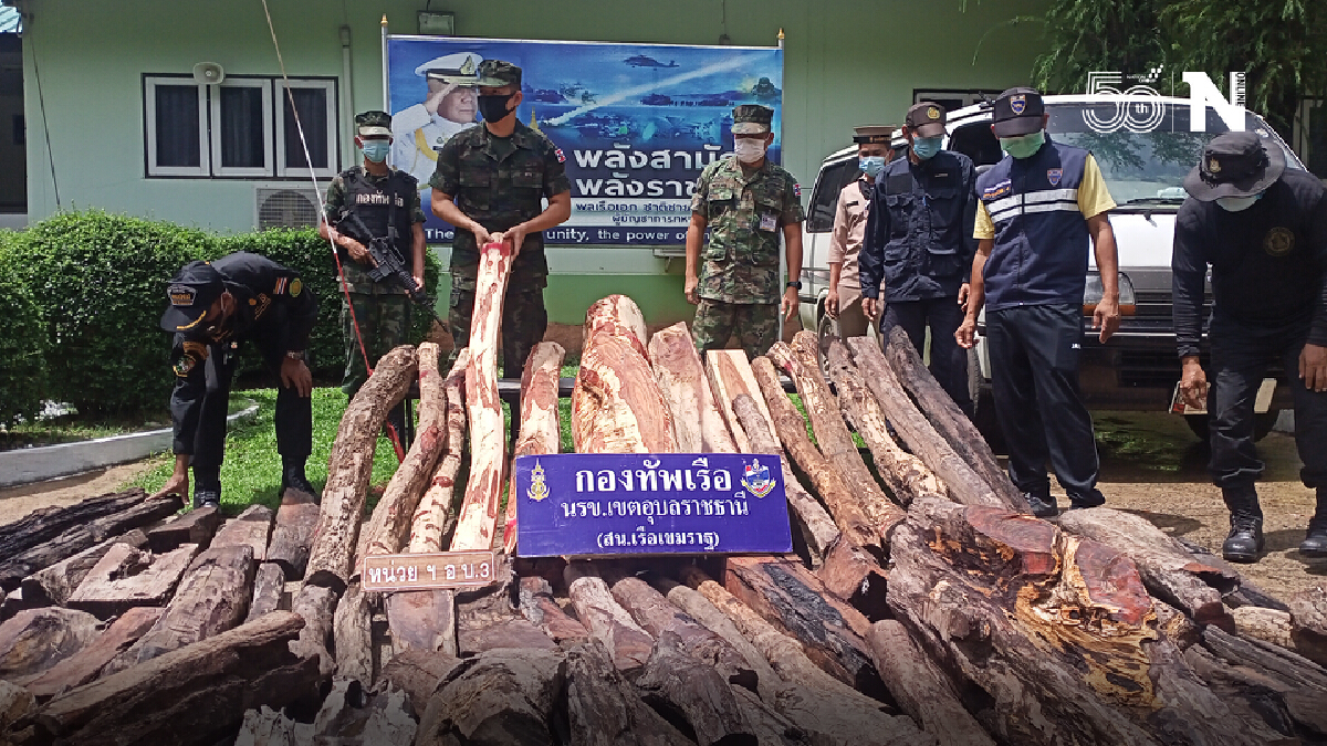 ไม้พะยูงของใครทิ้งไว้เต็มคันรถ ติดต่อรับด่วนกับนรข.เขตอุบลราชธานี ไม้พะยูงของใครทิ้งไว้เต็มคันรถ ติดต่อรับด่วนกับนรข.เขตอุบลราชธานี