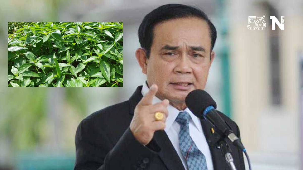 นายกฯ ตั้ง “อนุทิน” เป็นหัวหน้าคณะกรรมการศึกษา “ฟ้าทะลายโจร”  รักษาโควิด