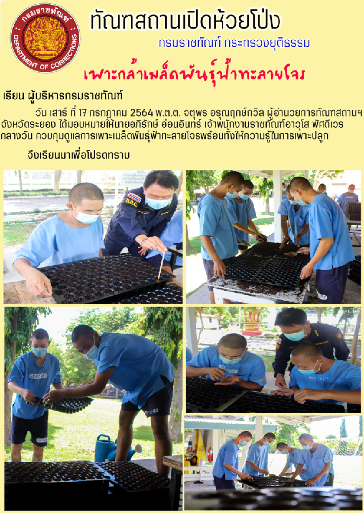"สมศักดิ์"พร้อมใช้พื้นที่เรือนจำปลูกสมุนไพรฟ้าทะลายโจร 141 ไร่