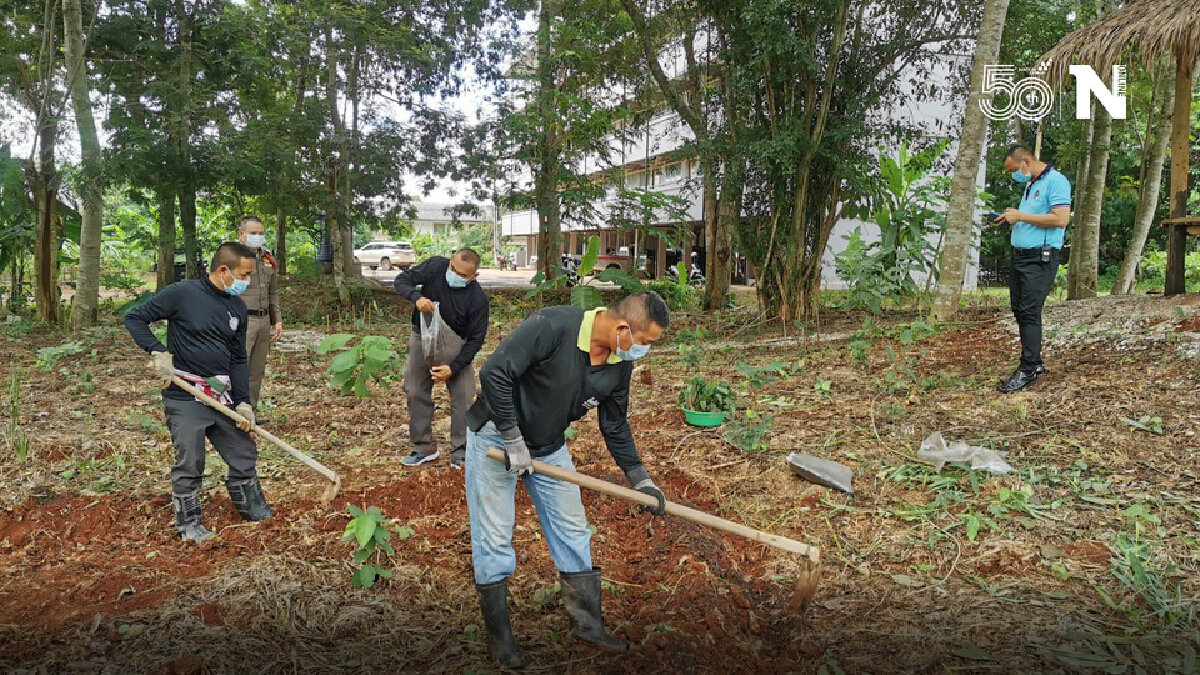 ตำรวจเลยเตรียมแปลงปลูกกระชายขาว เป็นสมุนไพรสู้โควิด -19 ตำรวจเลยเตรียมแปลงปลูกกระชายขาว เป็นสมุนไพรสู้โควิด -19