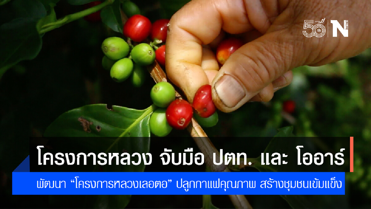 โครงการหลวง จับมือ ปตท. และ โออาร์ พัฒนา “โครงการหลวงเลอตอ” ปลูกกาแฟคุณภาพ สร้างชุมชนเข้มแข็ง