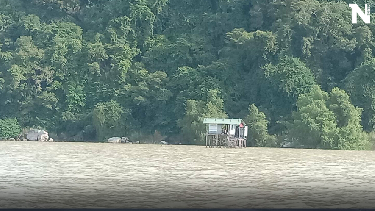 13 บริษัทเมินประมูลรังนกพัทลุง เผยค่าใช้จ่ายวันละ 6 หมื่น