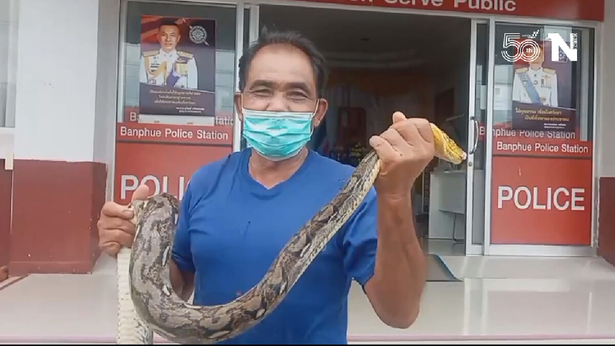 ลุงจับงูหัวขโมยกินไก่ในเล้า ขึ้นโรงพักส่งให้ตำรวจปล่อยสู่ธรรมชาติ
