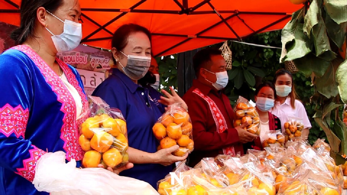 แห่อุดหนุน"ลูกพลับปลอดสาร"บ้านใหม่ร่องกล้า