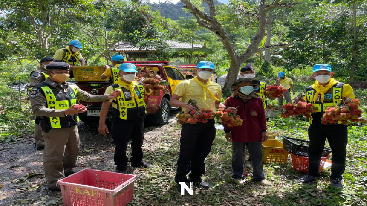 ตำรวจช่วยเหลือเกษตรกร เก็บเงาะกว่า 1ตัน แจกบุคลากรแพทย์ ตำรวจช่วยเหลือเกษตรกร เก็บเงาะกว่า 1ตัน แจกบุคลากรแพทย์