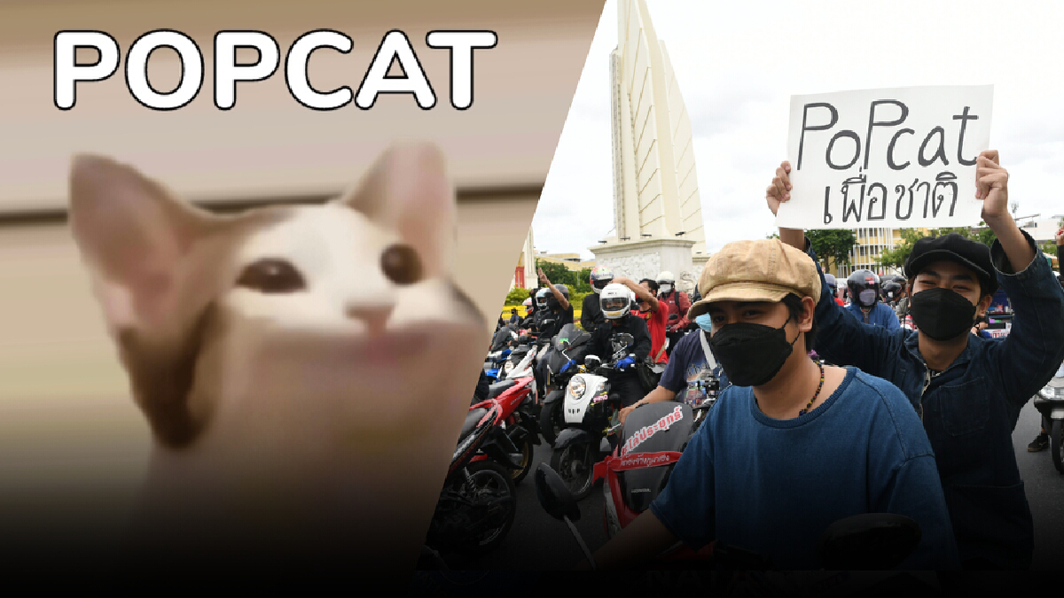 1 ในทีมพัฒนา POPCAT ร่วม call out เรียกร้องสนใจการชุมนุมในไทย 1 ในทีมพัฒนา POPCAT ร่วม call out เรียกร้องสนใจการชุมนุมในไทย