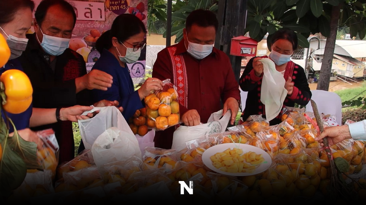 ผลผลิตทะลัก! พิษณุโลกเร่งระบาย ลูกพลับ ผลผลิตทะลัก! พิษณุโลกเร่งระบาย ลูกพลับ