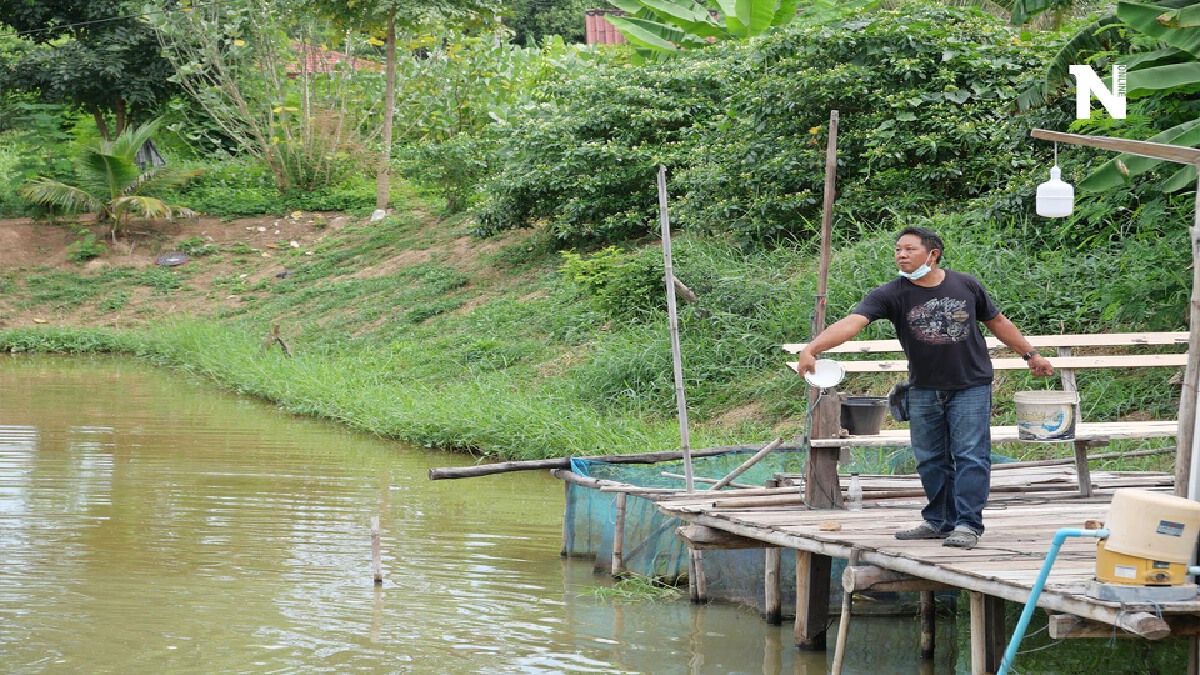 นักดนตรีตกงานยึด"เกษตรพอเพียง"-เนรมิตพื้นที่6ไร่สร้างรายได้ นักดนตรีตกงานยึด"เกษตรพอเพียง"-เนรมิตพื้นที่6ไร่สร้างรายได้