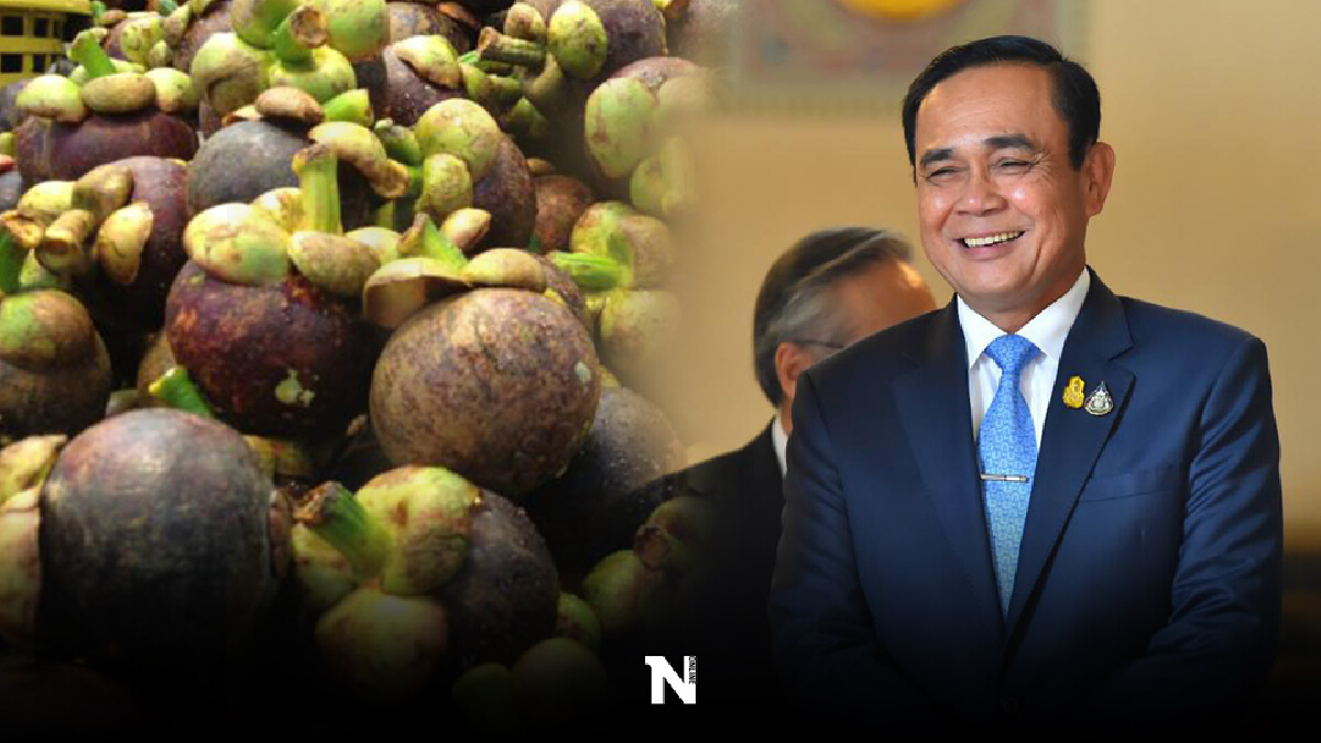 นายกฯขอบคุณปชช.ช่วยอุดหนุนผลไม้ไทย ดันราคาพุ่ง นายกฯขอบคุณปชช.ช่วยอุดหนุนผลไม้ไทย ดันราคาพุ่ง