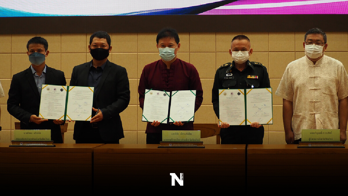 ฝ่าวิกฤติโควิดปลูกหญ้าเนเปียร์ช่วยช้าง