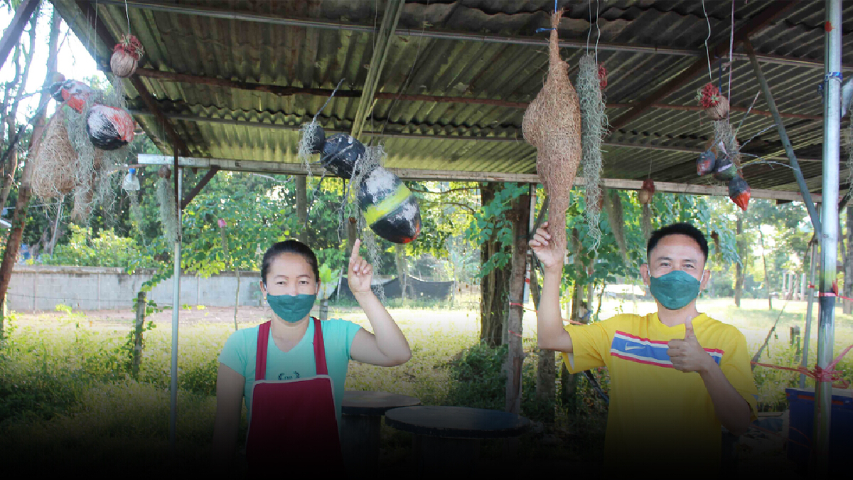 เจ้าของร้านอาหารอีสานนำรังนก-ตัวต่อประดับร้านเชื่อต่อโชคลาภเรียกลูกค้า