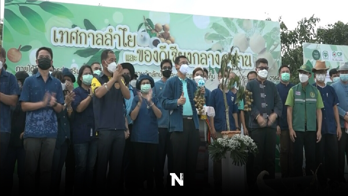 เปิดขายลำไยเชียงกลางช่วยเกษตรกร-แรงงานสู้โควิด เปิดขายลำไยเชียงกลางช่วยเกษตรกร-แรงงานสู้โควิด
