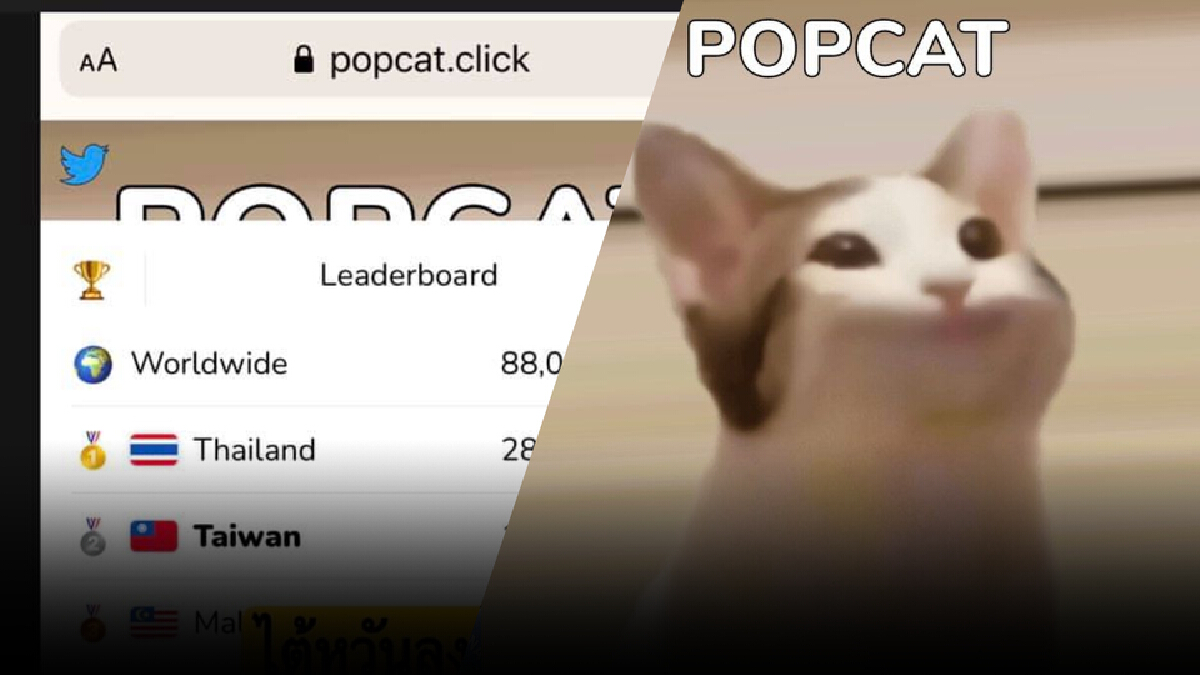 โซเชียลไต้หวันเดือด นัดรวมพลทวงแชมป์ "Pop Cat" จากไทย โซเชียลไต้หวันเดือด นัดรวมพลทวงแชมป์ "Pop Cat" จากไทย