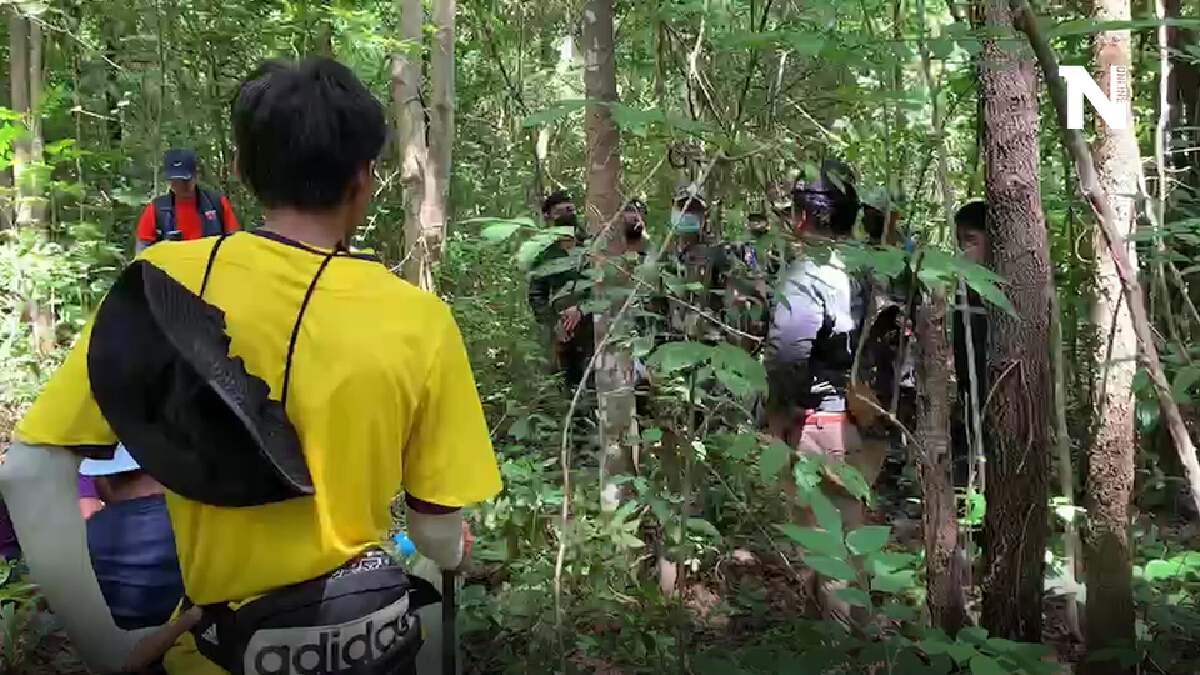 ปูพรมค้นหาตายินหลงป่าเข้าวันที่ 8 ญาติหวังเจอตัว