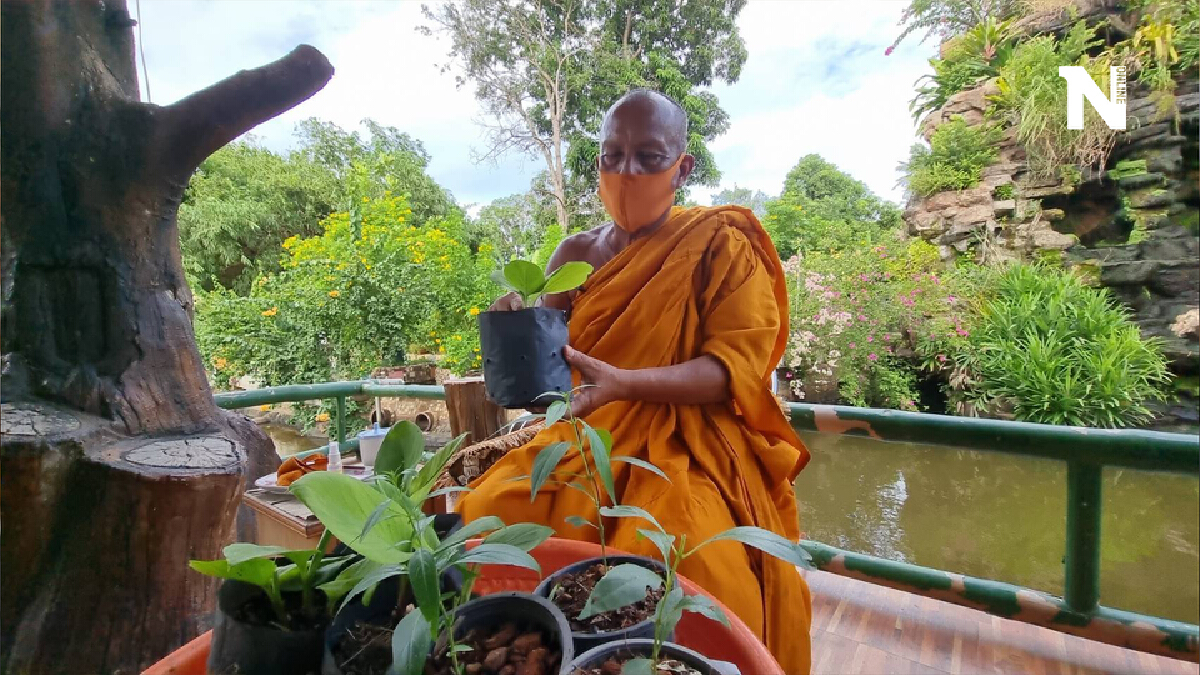 พระพยอม เชื่อมั่นสมุนไพรมีดีสร้างภูมิต้านทานไวรัสโควิด-19