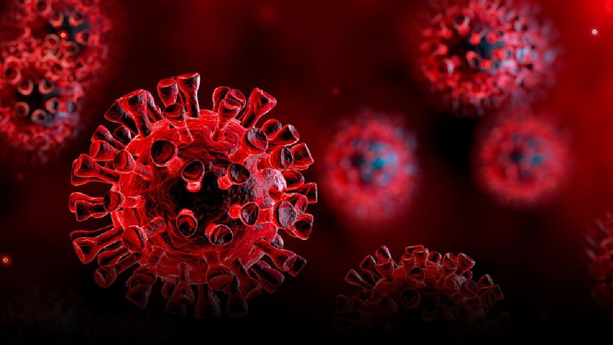 ไทยวิกฤต! ยอดผู้ป่วยโควิดในระบบ 2 แสนคน อาการหนักทะลุ 5 พันราย ไทยวิกฤต! ยอดผู้ป่วยโควิดในระบบ 2 แสนคน อาการหนักทะลุ 5 พันราย
