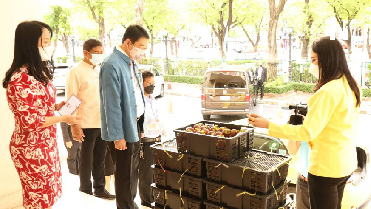 เกษตรฯ เร่งกระจายผลไม้ผ่านเครือข่ายสหกรณ์ เกษตรฯ เร่งกระจายผลไม้ผ่านเครือข่ายสหกรณ์