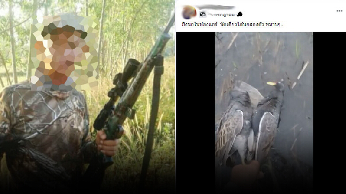 "พญาเสือ" จัดหนัก เอาผิดหนุ่มโพสต์คลิป "ล่าสัตว์ป่าคุ้มครอง" "พญาเสือ" จัดหนัก เอาผิดหนุ่มโพสต์คลิป "ล่าสัตว์ป่าคุ้มครอง"