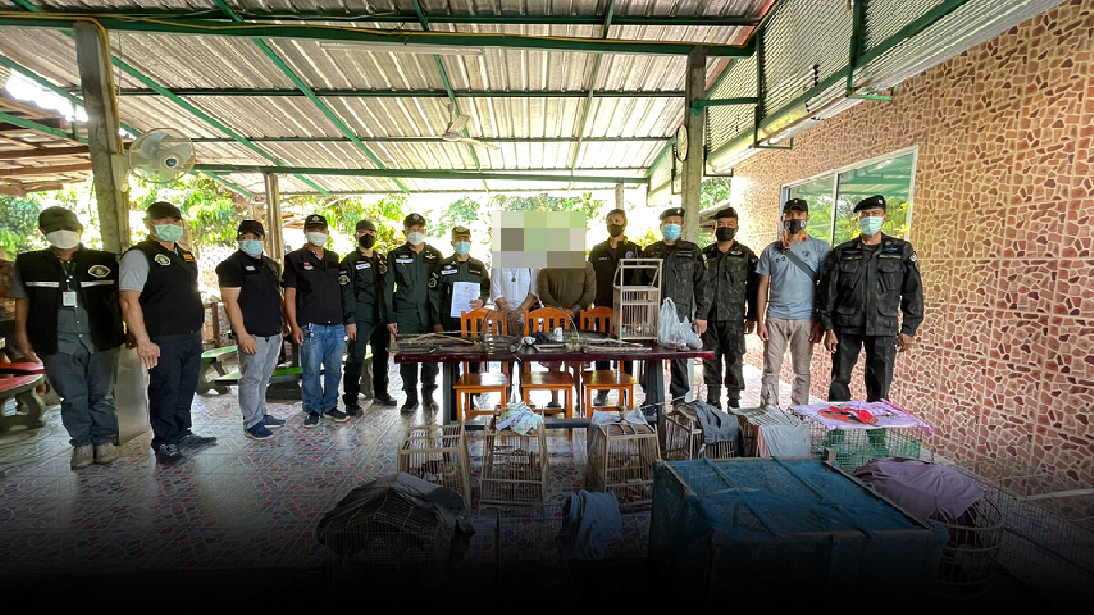 ตำรวจ ปทส.บุกจับนกคุ้มครอง พร้อม 2 ผู้ต้องหา