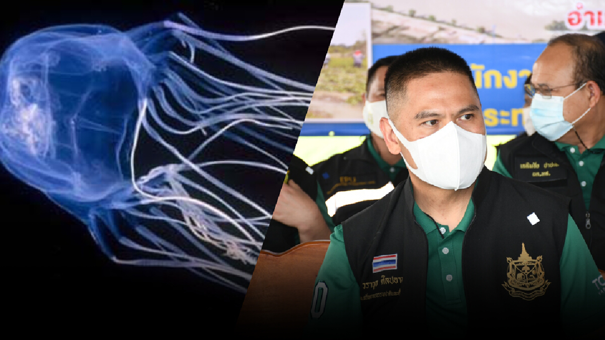 สลด!นนท.วัย 9 ขวบ ถูกพิษแมงกะพรุนกล่องดับ "วราวุธ" สั่งเร่งป้องกัน