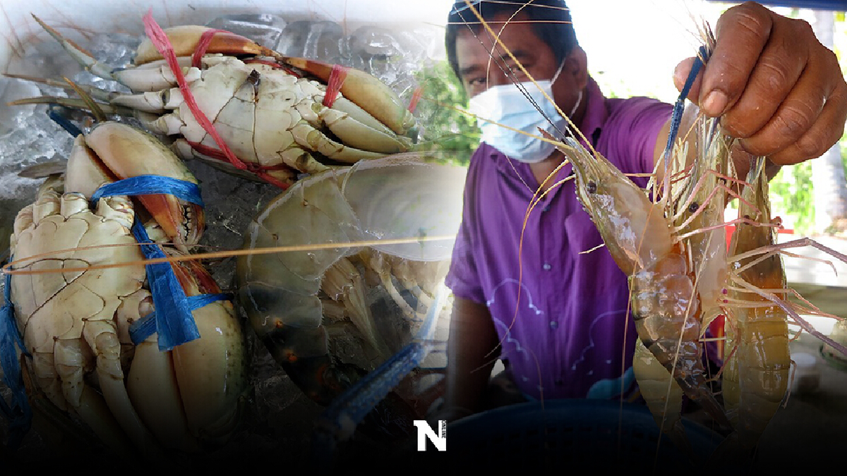 สดจากลุ่มน้ำทะเลสาบ ครัวขนาดใหญ่ของชาวสงขลา