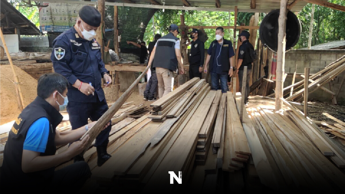 รวบเมียผญบ.ตั้งโรงงานแปรรูปไม้เถื่อน