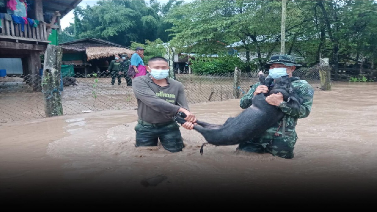 "ตาก"สั่งรับมือ"น้ำท่วม-ดินโคลนถล่ม" "ตาก"สั่งรับมือ"น้ำท่วม-ดินโคลนถล่ม"