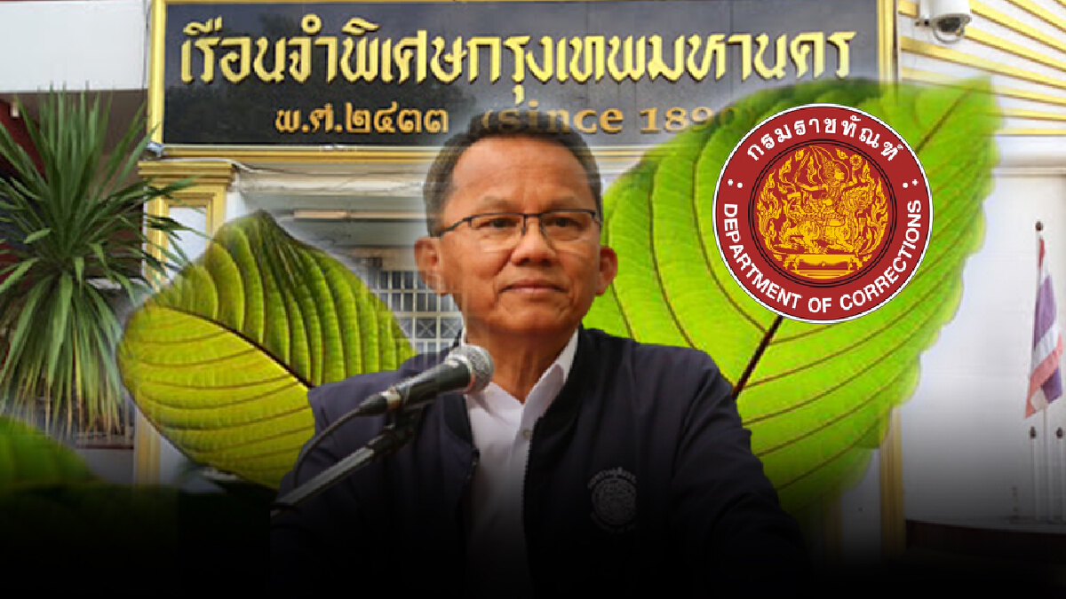 ราชทัณฑ์ เตรียมปล่อยนักโทษคดีพืชกระท่อม
