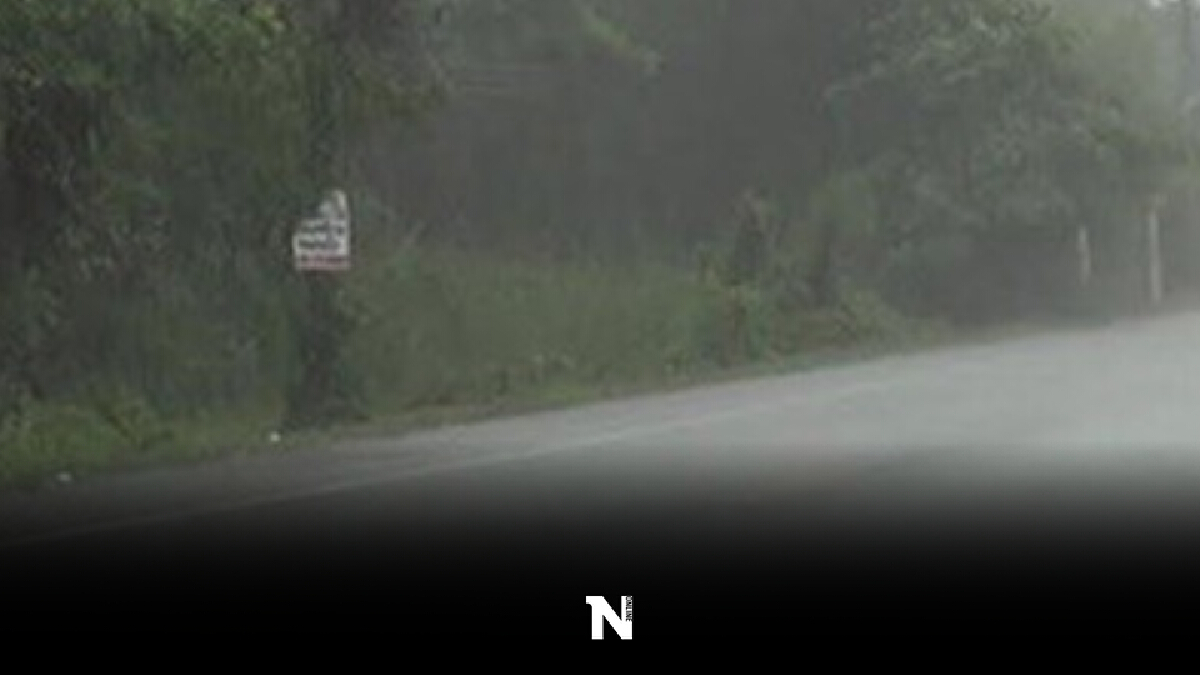 กรมอุตุฯ เผย พยากรณ์อากาศวันนี้ ทั่วทุกภาคฝนชุกร้อยละ 60 ถึง 70