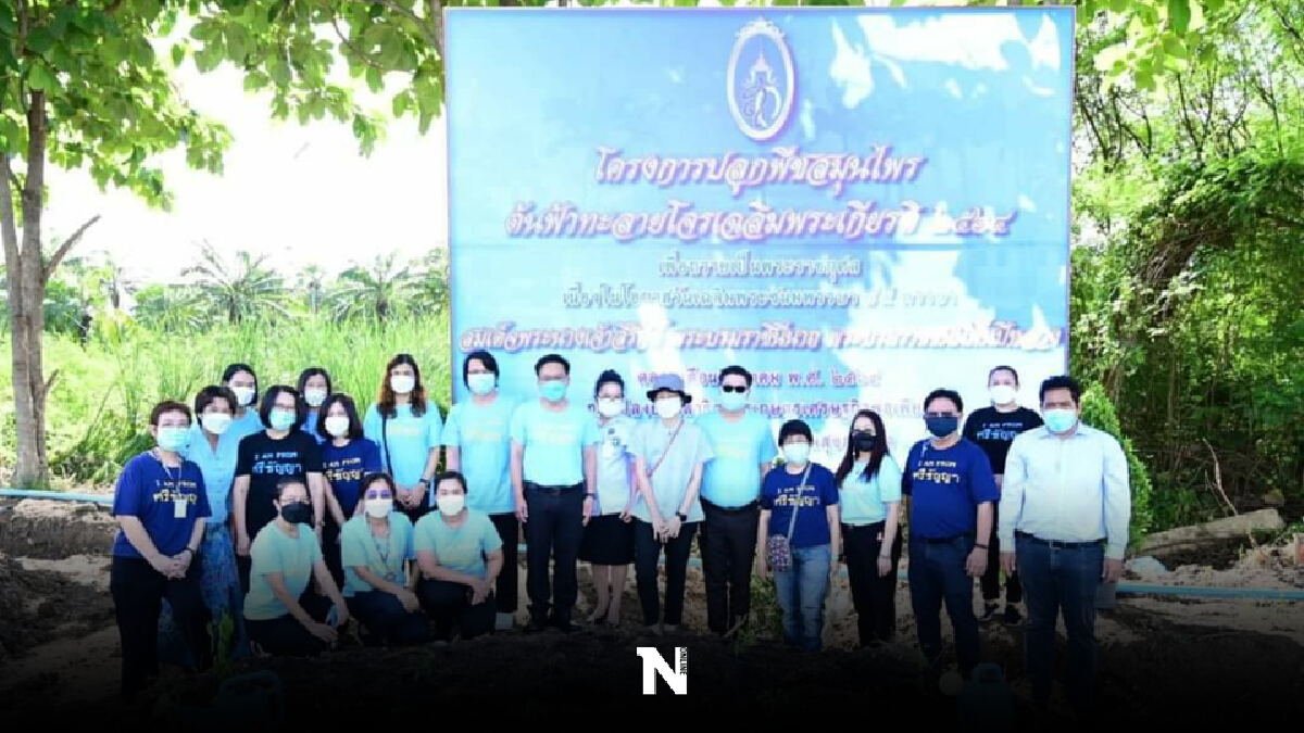 "รพ.ศรีธัญญา"ปลูกฟ้าทะลายโจรสู้โควิดเฉลิมพระเกียรติพระพันปีหลวง