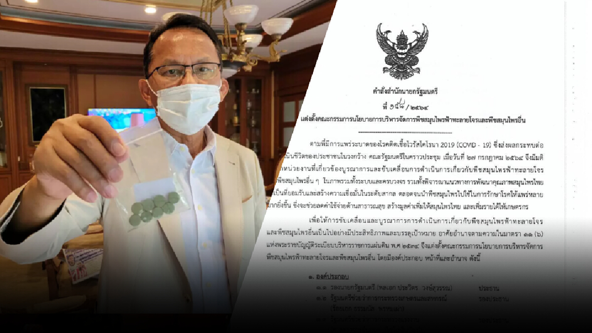 นายกฯตั้งคณะกรรมการขับเคลื่อนฟ้าทะลายโจรแต่ไร้เงาสมศักดิ์ เทพสุทิน