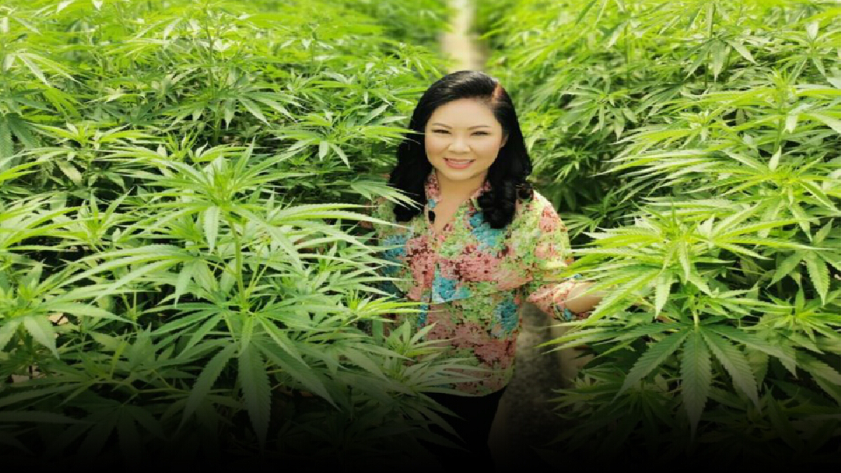 ดัน “CANNABIZ WAY” สู่ธุรกิจกัญชงชูจุดเด่น “นวัตกรรมเกษตร” ดัน “CANNABIZ WAY” สู่ธุรกิจกัญชงชูจุดเด่น “นวัตกรรมเกษตร”