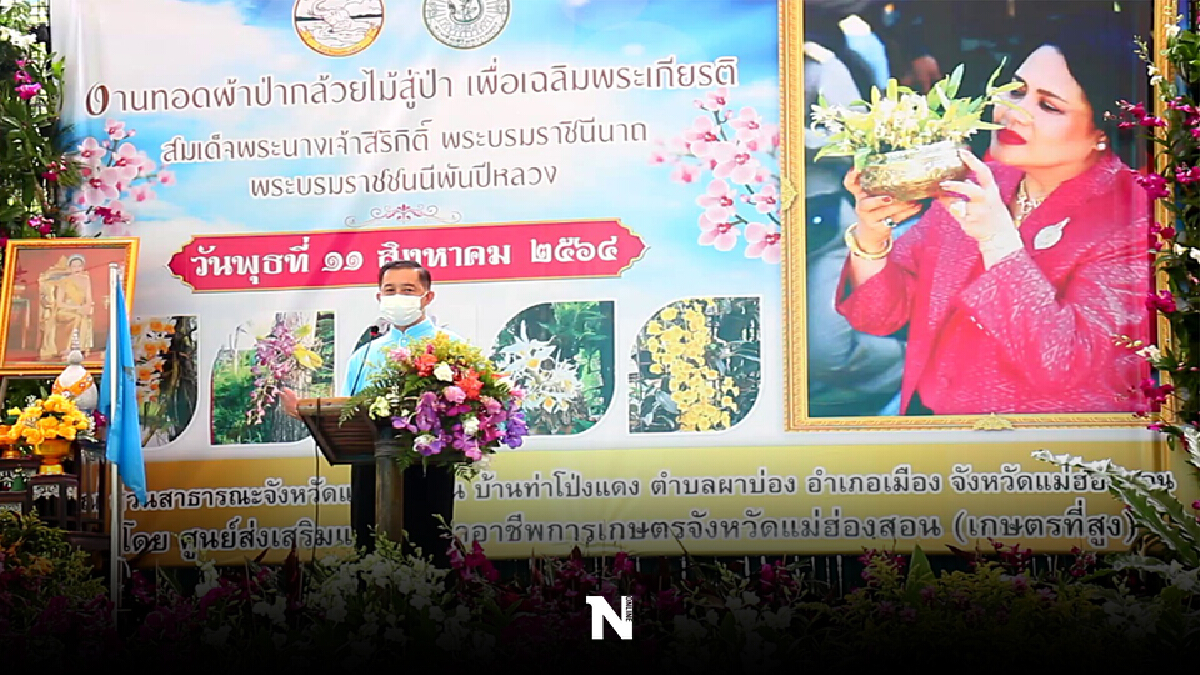 แม่ฮ่องสอนปล่อยกล้วยไม้คืนสู่ป่าเพื่อแม่