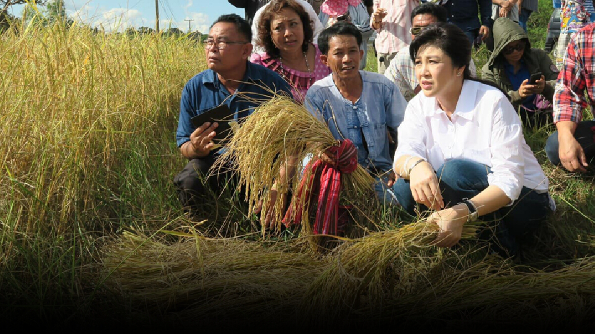 “ยิ่งลักษณ์” โพสต์ห่วงราคาข้าวปีนี้ - จี้รัฐบาลเร่งแก้ปัญหา