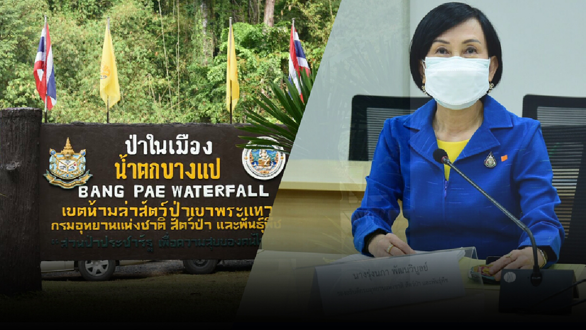 เตรียมหนุน เขตห้ามล่าสัตว์ป่าเขาพระแทว จ.ภูเก็ต เตรียมหนุน เขตห้ามล่าสัตว์ป่าเขาพระแทว จ.ภูเก็ต