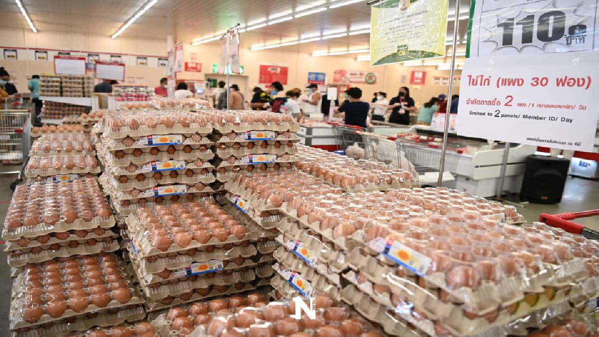 พาณิชย์ ยัน ไข่ไม่ขาดตลาด เร่งแก้ปัญหาการกระจายสินค้า ให้ทันความต้องการ พาณิชย์ ยัน ไข่ไม่ขาดตลาด เร่งแก้ปัญหาการกระจายสินค้า ให้ทันความต้องการ