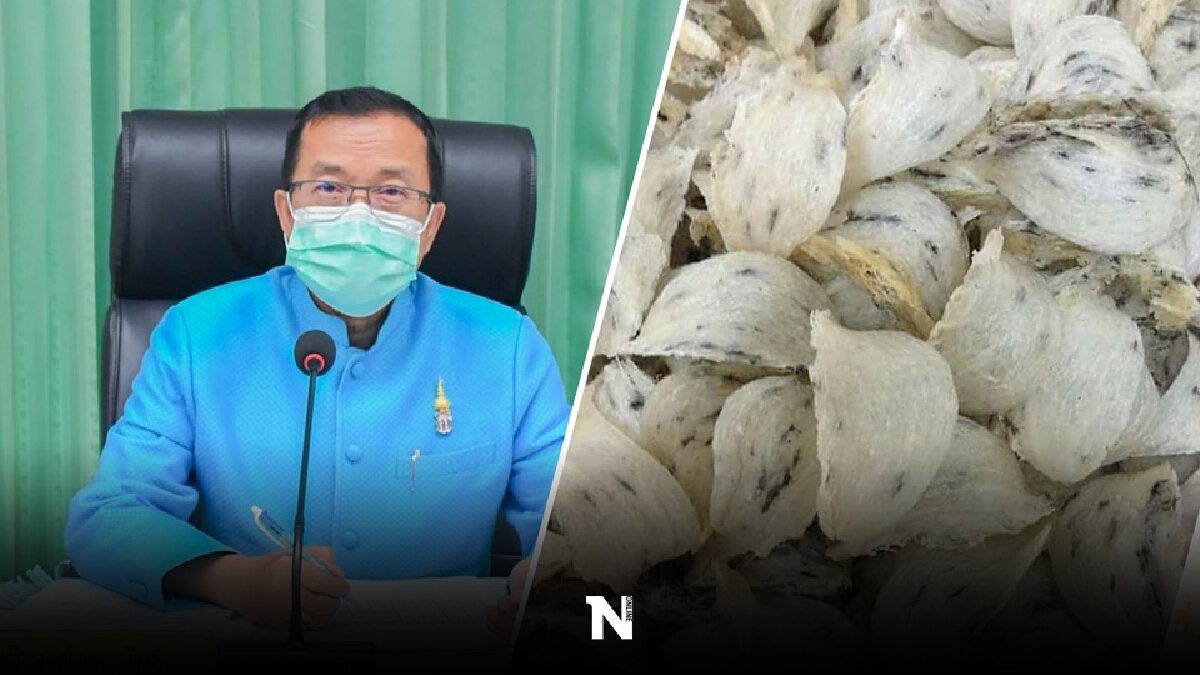 "สยามเนสท์ 2022" ชนะประมูลรังนกพัทลุง 400 ล้าน