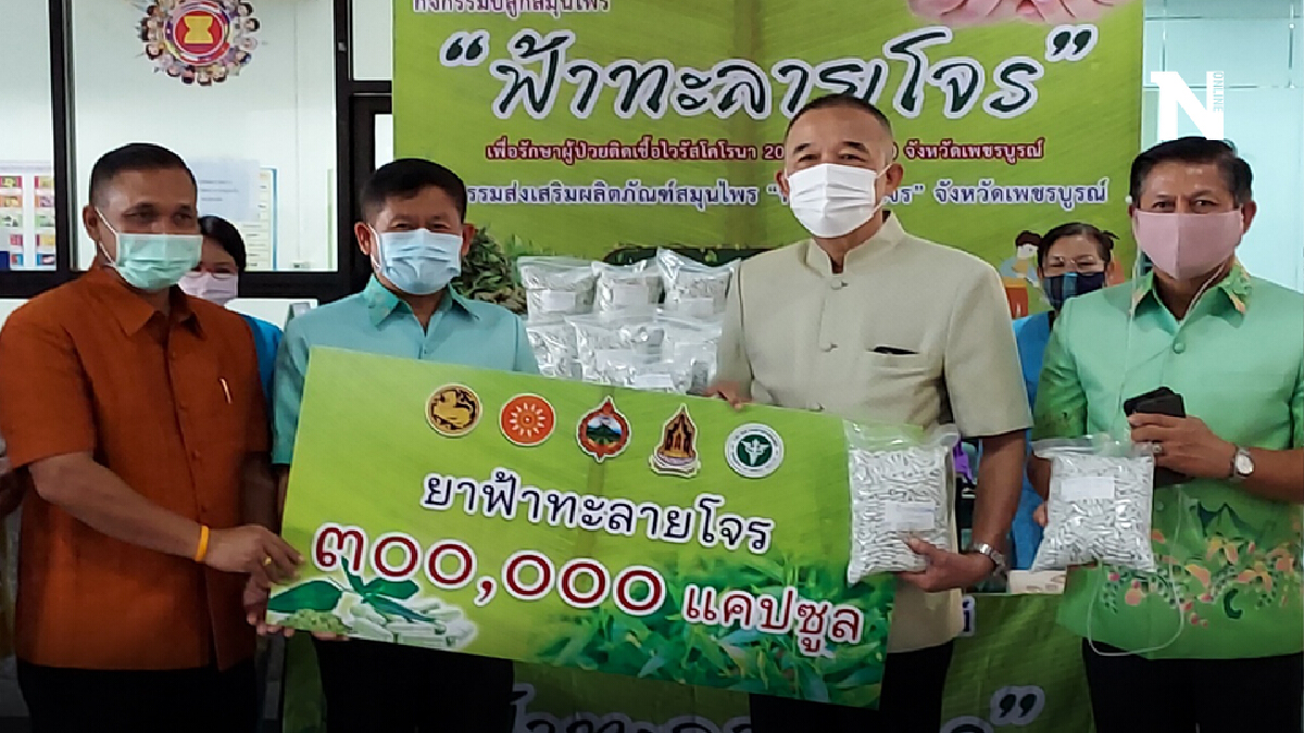 เพชรบูรณ์รับมอบฟ้าทะลายโจร 3 แสนเม็ดรักษาผู้ป่วยโควิดอาการไม่รุนแรง เพชรบูรณ์รับมอบฟ้าทะลายโจร 3 แสนเม็ดรักษาผู้ป่วยโควิดอาการไม่รุนแรง