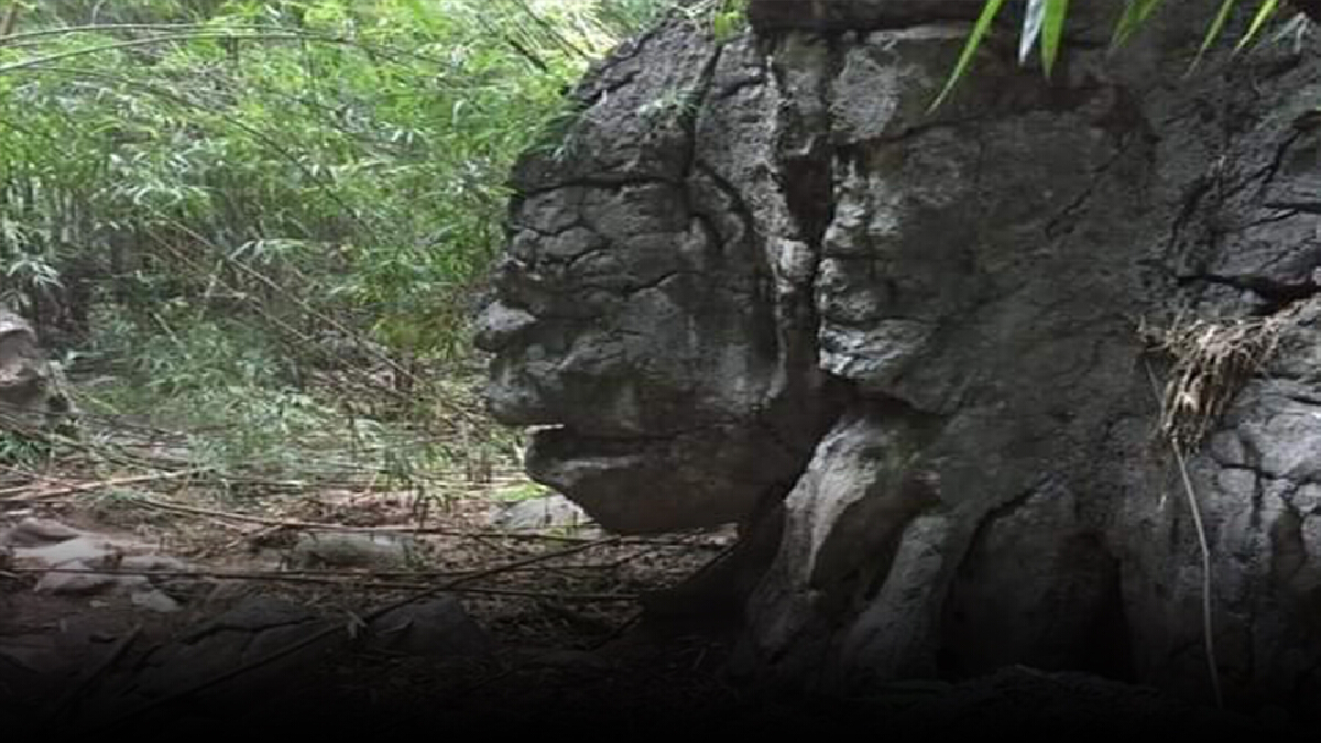 ตะลึง!พบหินสุดแปลกเหมือนหน้า"พญาวานร" ตะลึง!พบหินสุดแปลกเหมือนหน้า"พญาวานร"