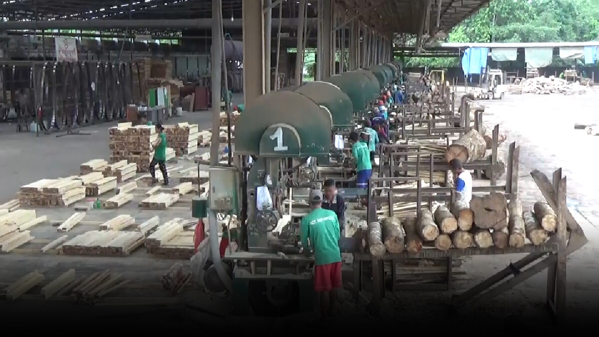 พบโรงงานแปรรูปไม้ยางในตรัง ลักลอบเปิด ผิดกม.