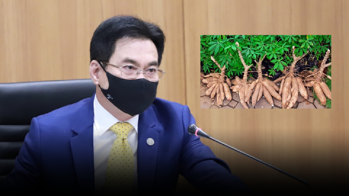 “จุรินทร์” เคาะ “ยุทธศาสตร์มันสำปะหลังชาติ” จ่อขอครม. 6 พันล้าน ประกันมันปี 3