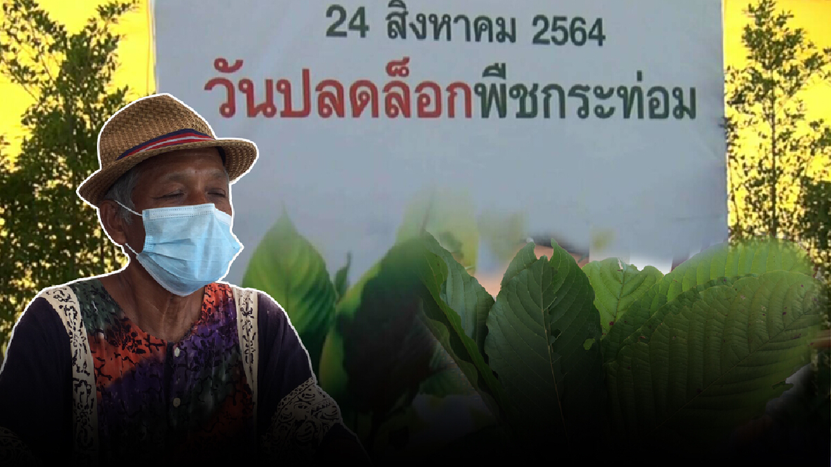 ชาวบ้านเห็นด้วยปลดล็อคพืชกระท่อม จี้รัฐคืนอิสระภาพนักโทษ