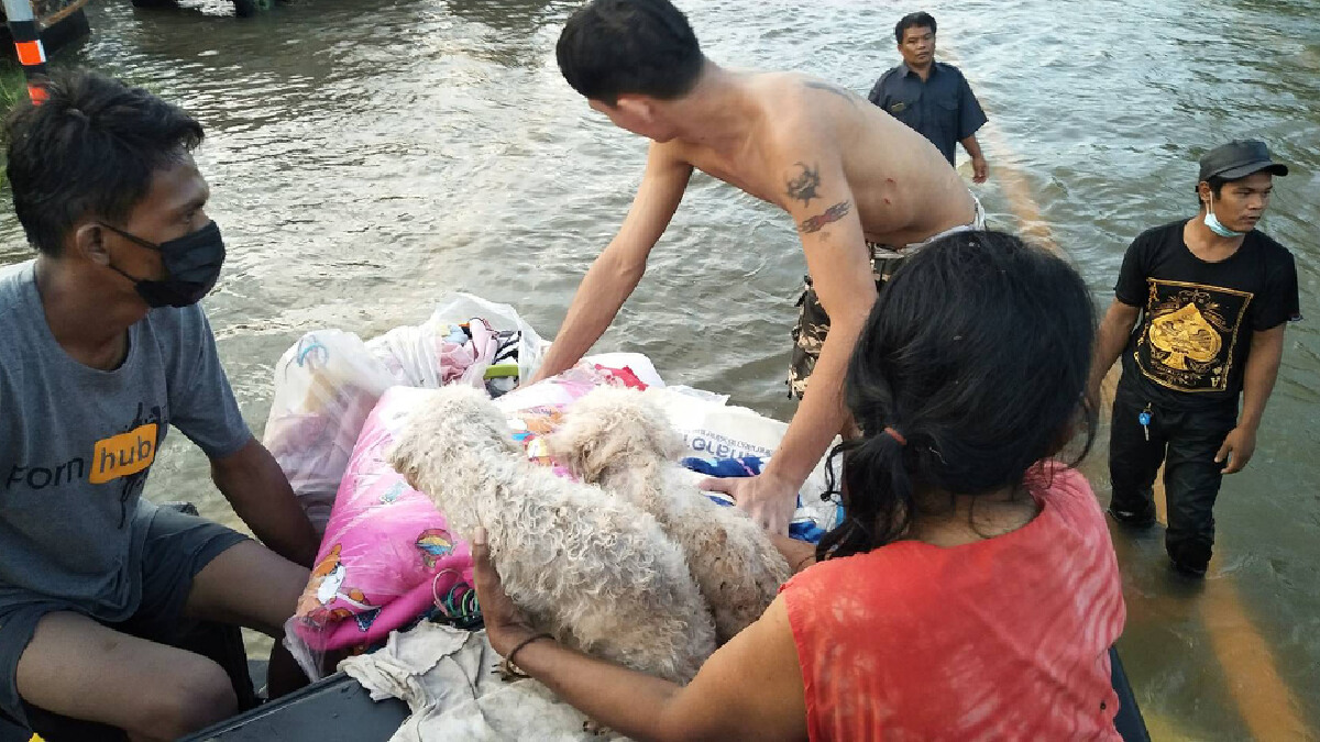 เร่งนำกระสอบทรายกั้นปราสาทหินพิมายอพยพ 80  ครอบครัวหนีน้ำ