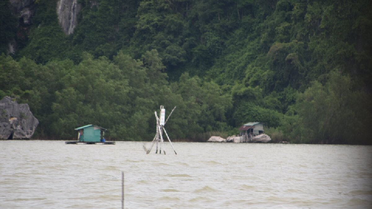 สั่งติดกล้องวงจรปิด  เฝ้าเกาะรังนกจ.พังงา