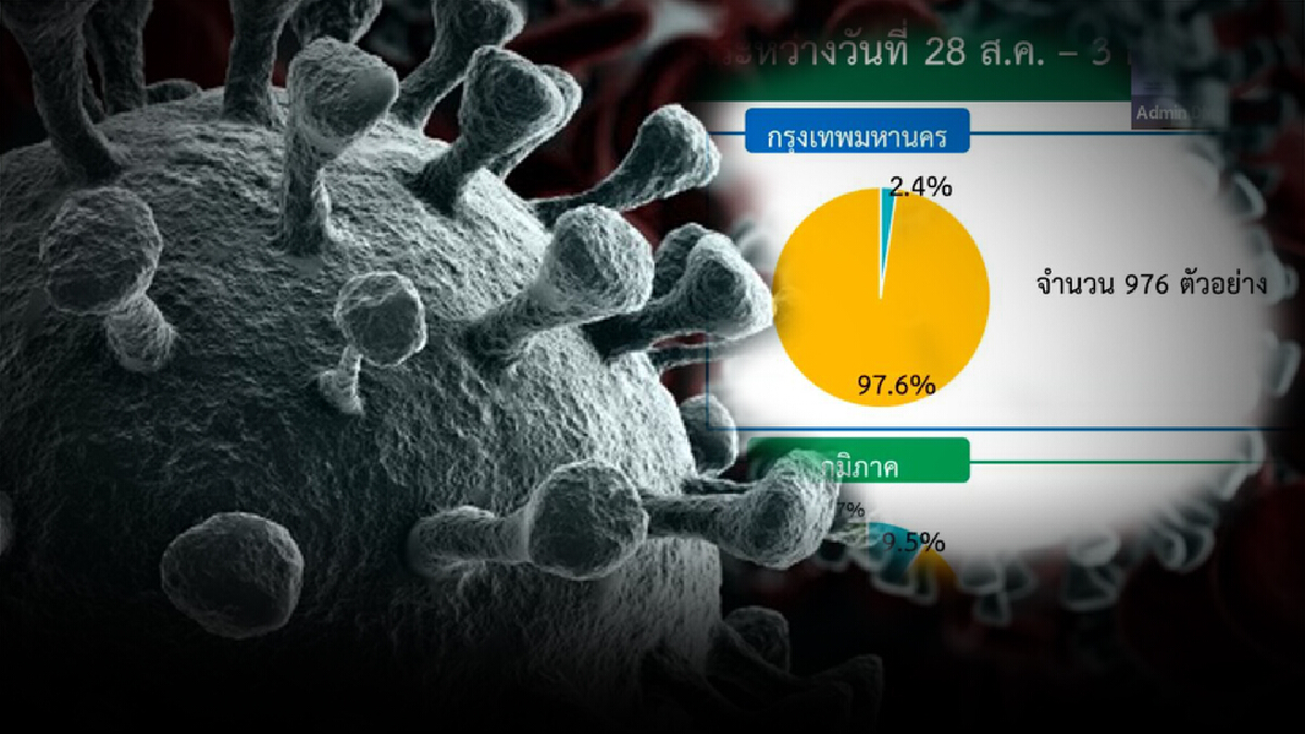 พบโควิดสายพันธุ์เดลตา พื้นที่ กทม.มากสุด 97.6%