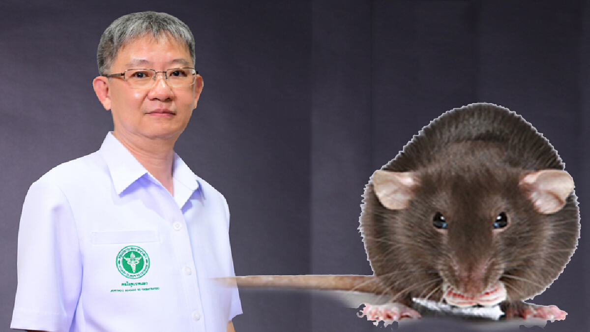กรมควบคุมโรค เผยระวังโรคฉี่หนูในพื้นที่น้ำท่วม