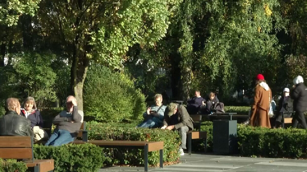 วัว ผึ้ง และจักรยาน เคล็ดลับเมืองหลวงสีเขียวแห่งยุโรป วัว ผึ้ง และจักรยาน เคล็ดลับเมืองหลวงสีเขียวแห่งยุโรป
