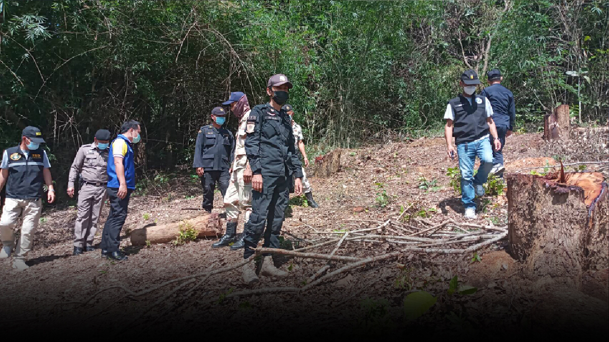 ตร.เชียงรายสนธิกำลังยึดไม้ประดู่-รุกป่าสงวนฯ ตร.เชียงรายสนธิกำลังยึดไม้ประดู่-รุกป่าสงวนฯ