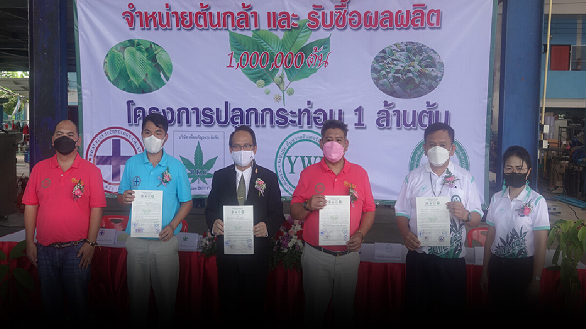 สมาคมผู้ปลูกพืชทางเลือก ชวนเกษตรปลูกกระท่อม 1 ล้านต้น