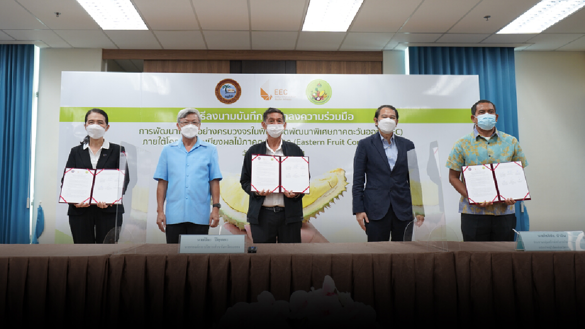 อีอีซีเร่งเครื่องพัฒนาไม้ผลครบวงจร สร้างรายได้เกษตรกร
